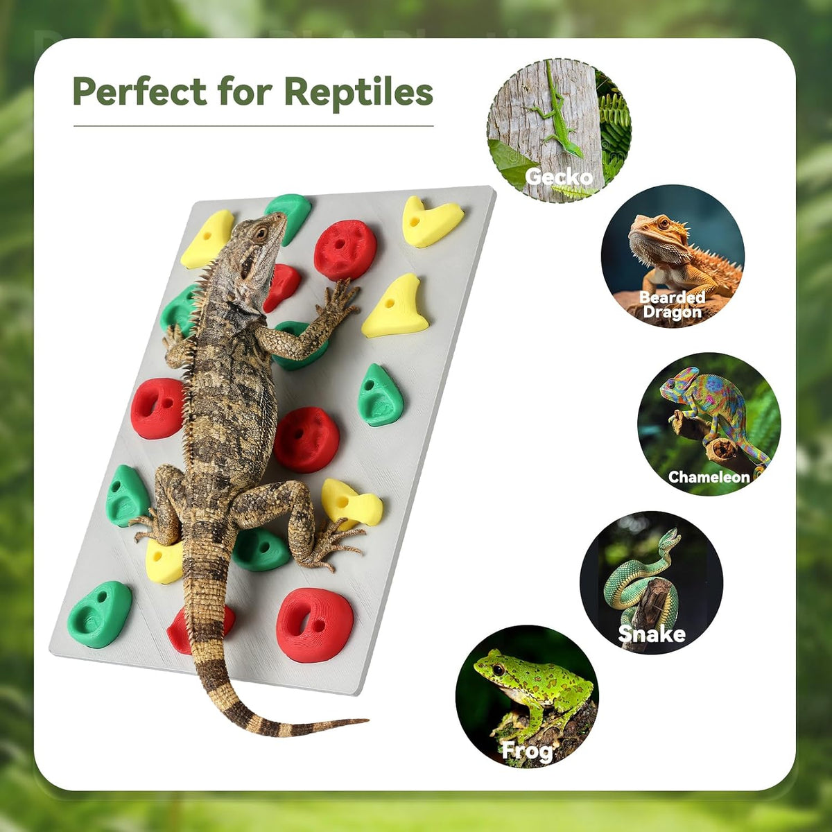 MITCHENIFY Reptile Climbing Wall, Bearded Dragon Accessories Toys