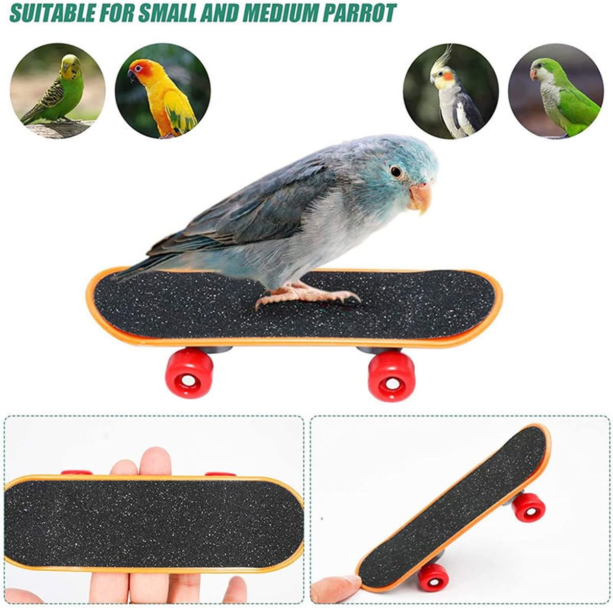 4Pcs Bird Training Intelligence Toys Set Included Training Basketball, Colorful Stacking Rings, Mini Skateboard and Shopping Cart Toy, Sepak Takraw for Parrots Budgies Cockatiel Parakeet #6