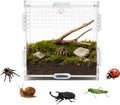 Jumping Spider Small Terrarium 3.5×3.5×9.5 Inch Acrylic Enclosure