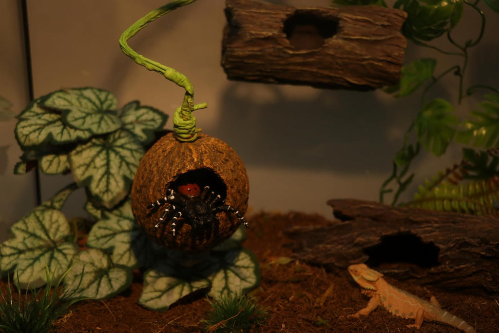 AQUA KT Reptile Jumping Spider Enclosure Hideout with Climbing Vine