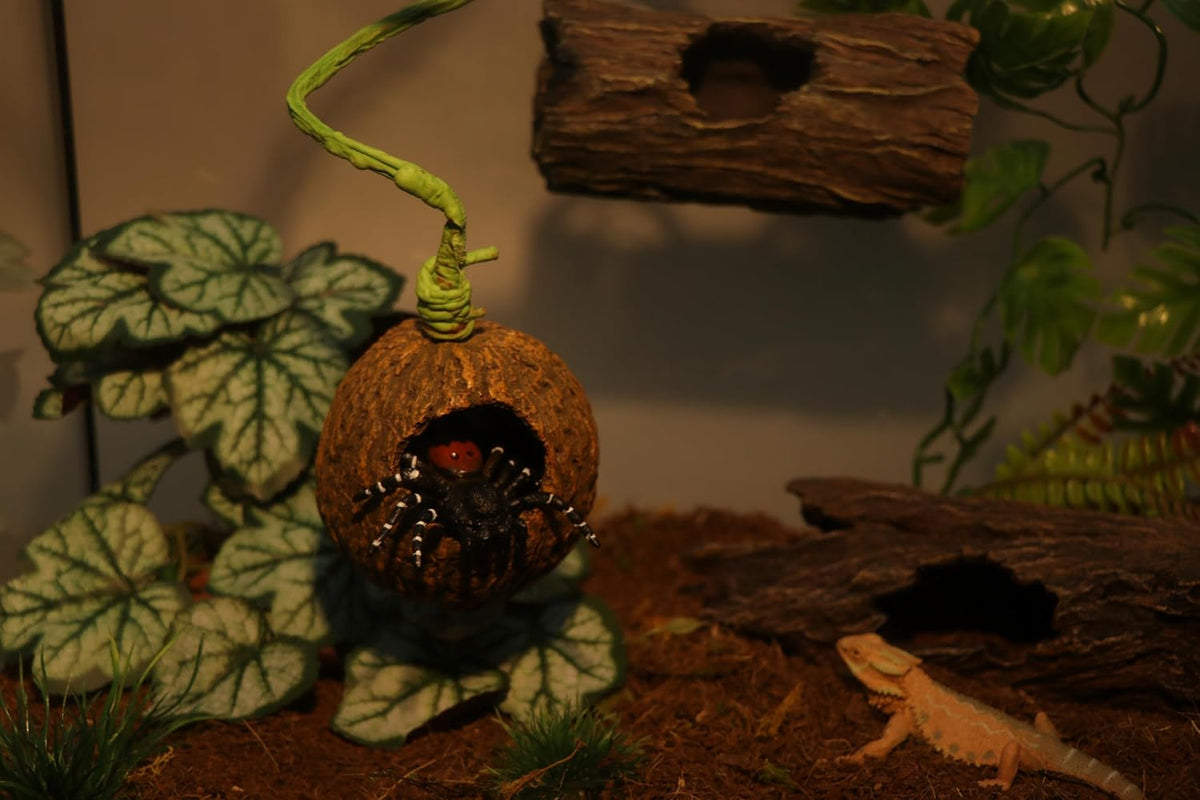 AQUA KT Reptile Jumping Spider Enclosure Hideout with Climbing Vine