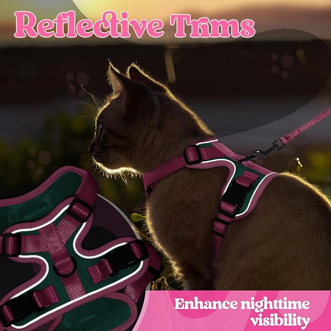 rabbitgoo Cat Harness and Leash Set, Escape Proof Soft Adjustable Vest Harnesses - Image 7