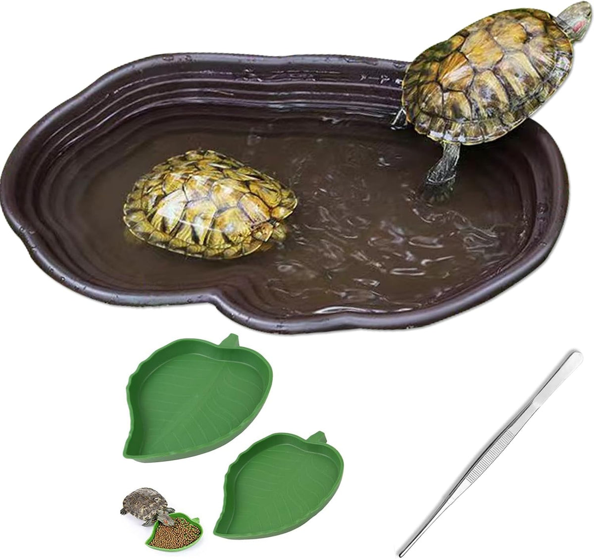Reptile Bathing Pool for Turtle Salamander Bearded Dragon Lizard