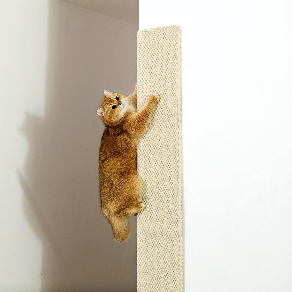 SHENGOCASE Thickened Cat Wall Corner Climbing Carpet, Cat Wall Furniture, Wall Corner Scratcher, Scratching Post (Gray), Grey