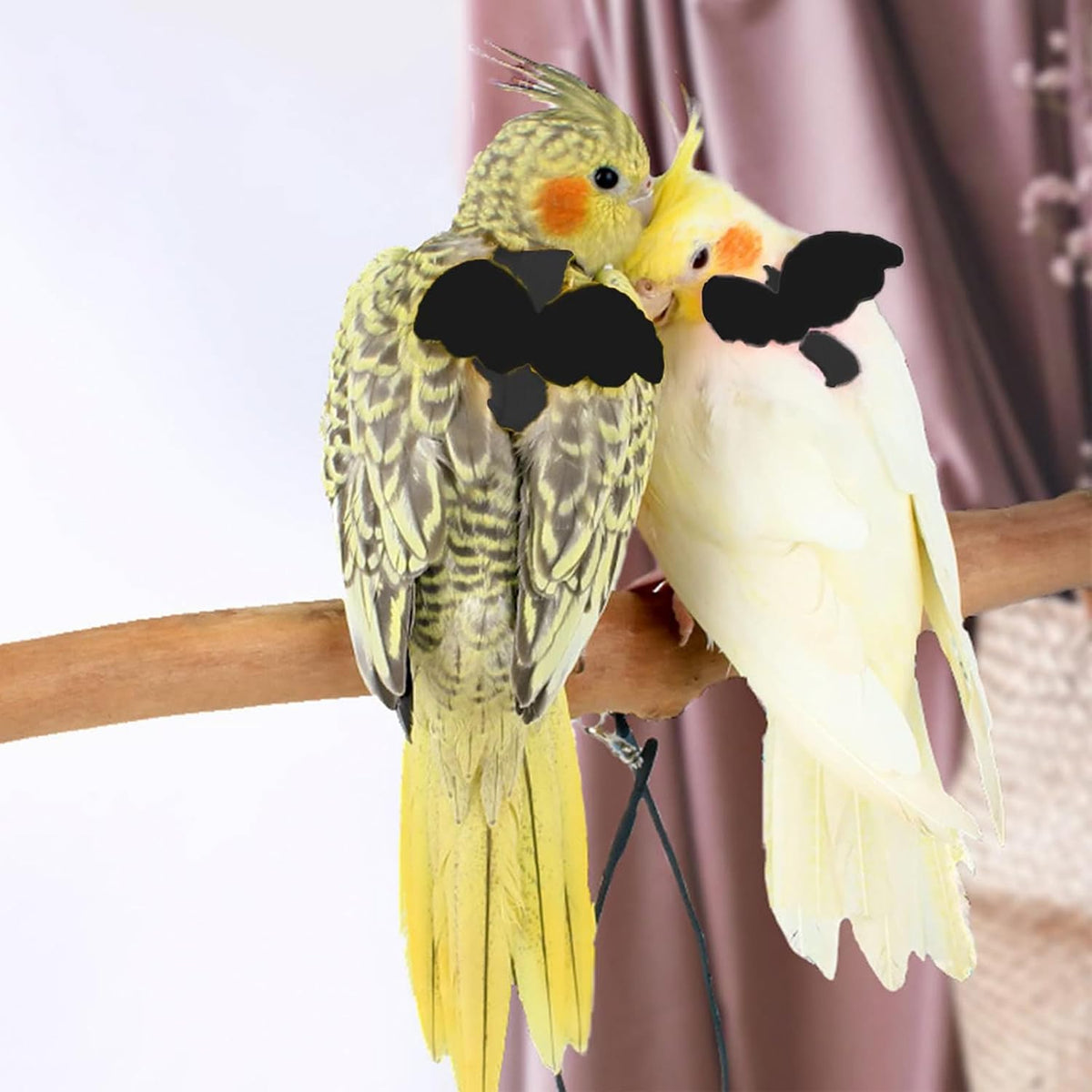 Adjustable Bird Leashes and Harnesses, Bird Nylon Harness with Cute Wing for Parrots, Pet Bird Accessories, Bird Leash for Hang Out, Suitable for Cockatiel, Quaker, Amazon Parrot and Same Size Birds