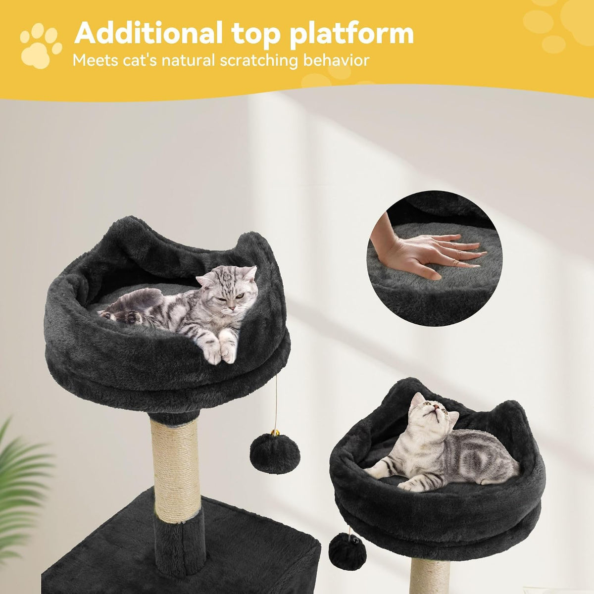 DWVO 75 in Multi‑Level Cat Tower