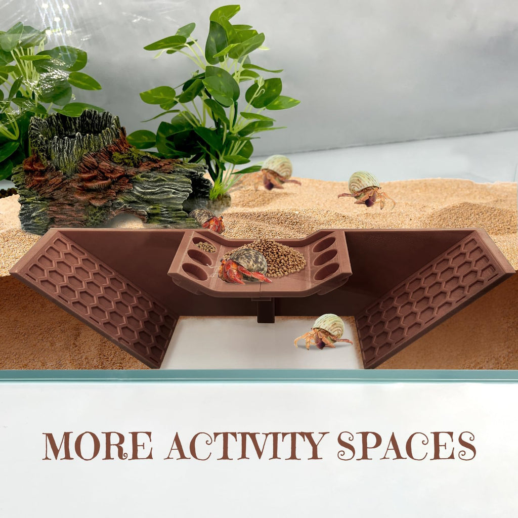 Hermit Crab Cave Hideout
