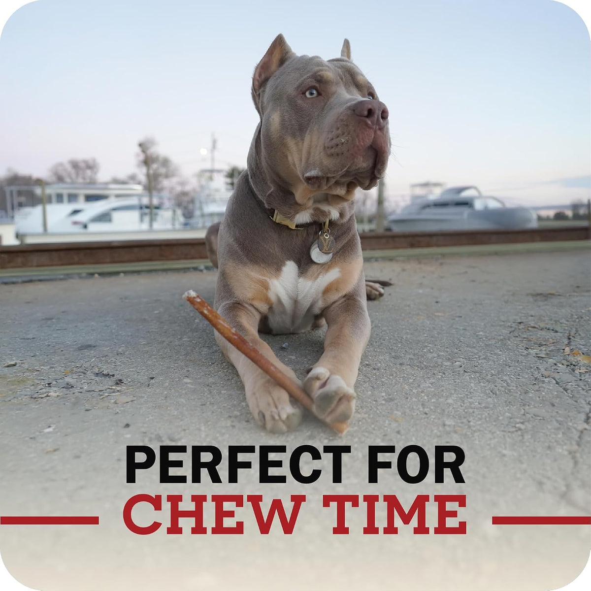 Redbarn 5"-8" Bully Sticks 100% Natural, Long Lasting, Rawhide Free, 8 oz