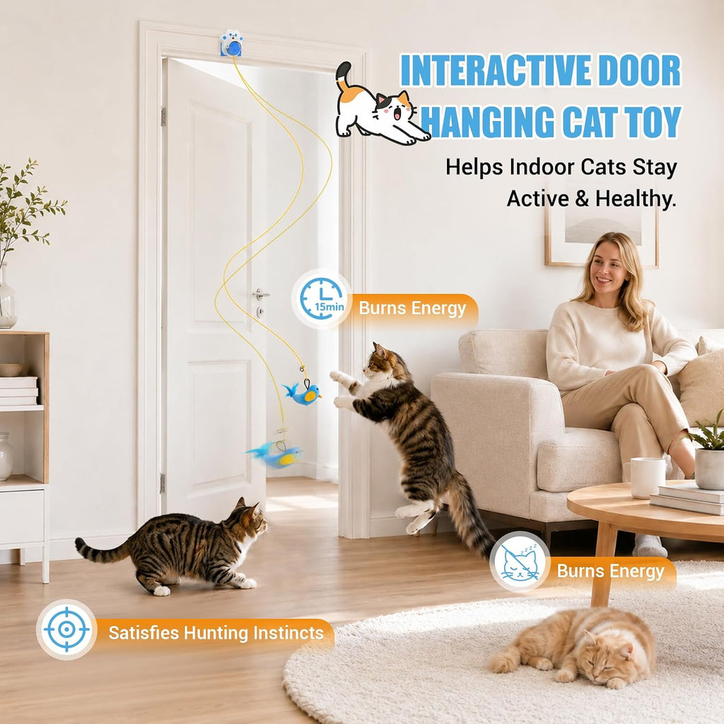 Interactive Cat Toy for Indoor Cats, Rechargeable Door Hanging Cat Toy