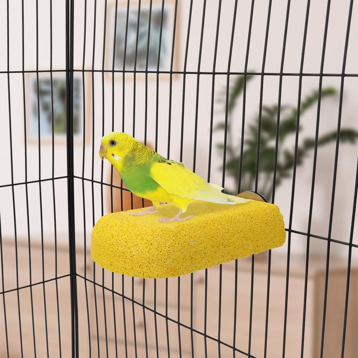 Hypeety Bird Beak Grinding Stone Cage Calcium Mineral Paw Grinding Block