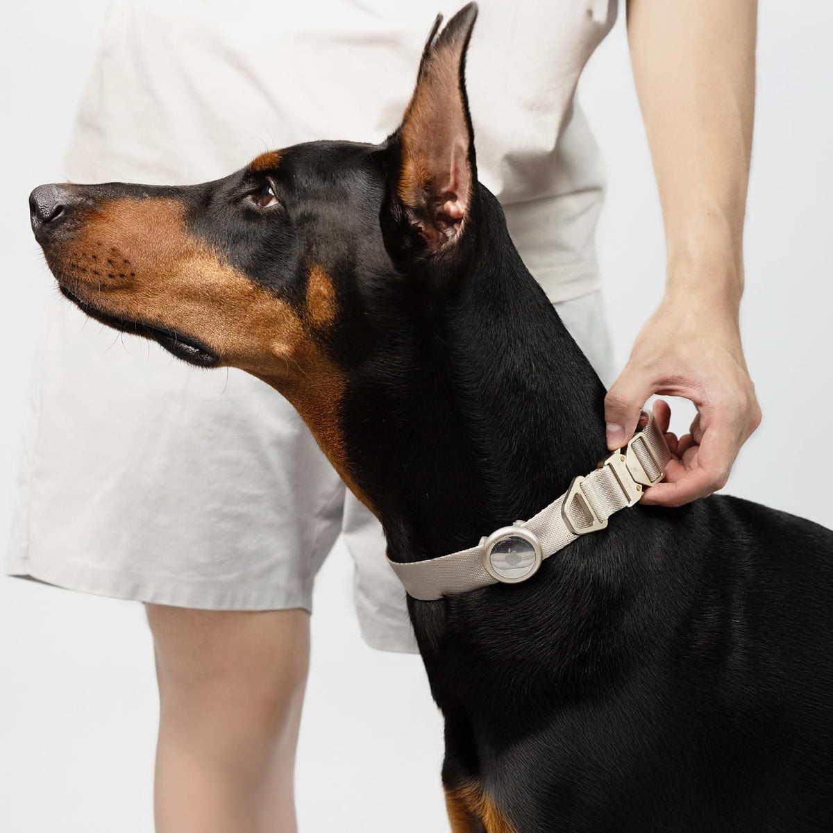 Dog Airtag Collar Adjustable Lightweight Nylon Dog Collar, Linen