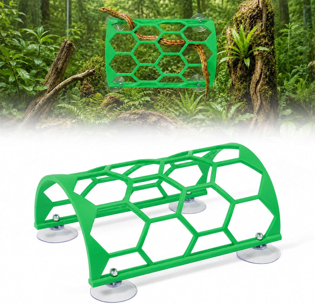 Reptile Climbing Shelf, Suction Cup Honeycomb Platform Snake Tank(Green)