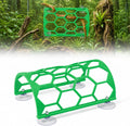 Reptile Climbing Shelf, Suction Cup Honeycomb Platform Snake Tank(Green)
