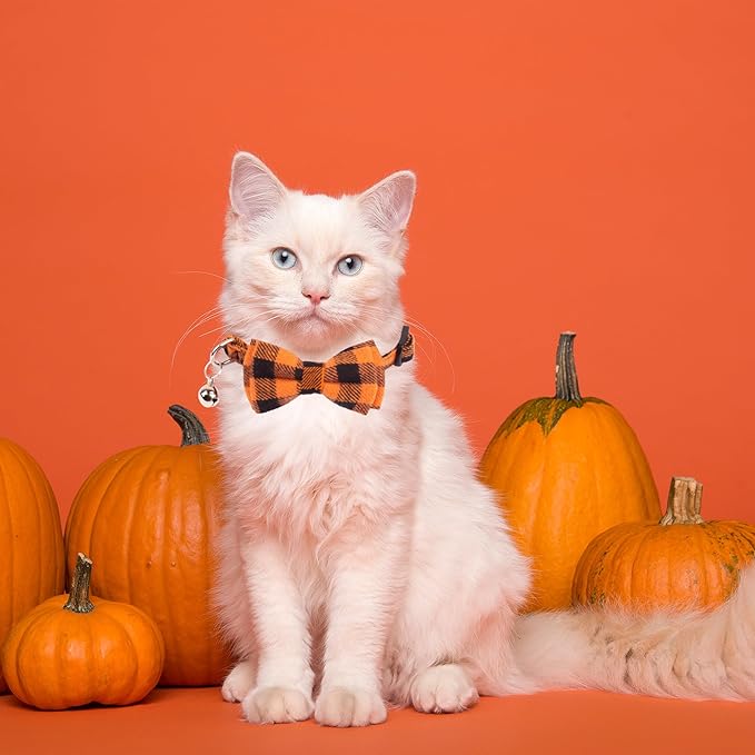 ADOGGYGO Halloween Cat Collars Breakaway - Image 3