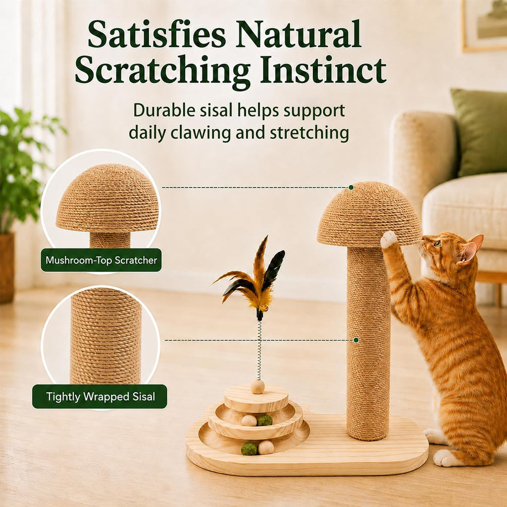 Kitten Scratching Post for Indoor Cats with 2-Level Ball Track