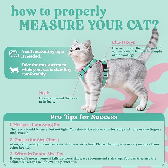 rabbitgoo Cat Harness and Leash - Image 2