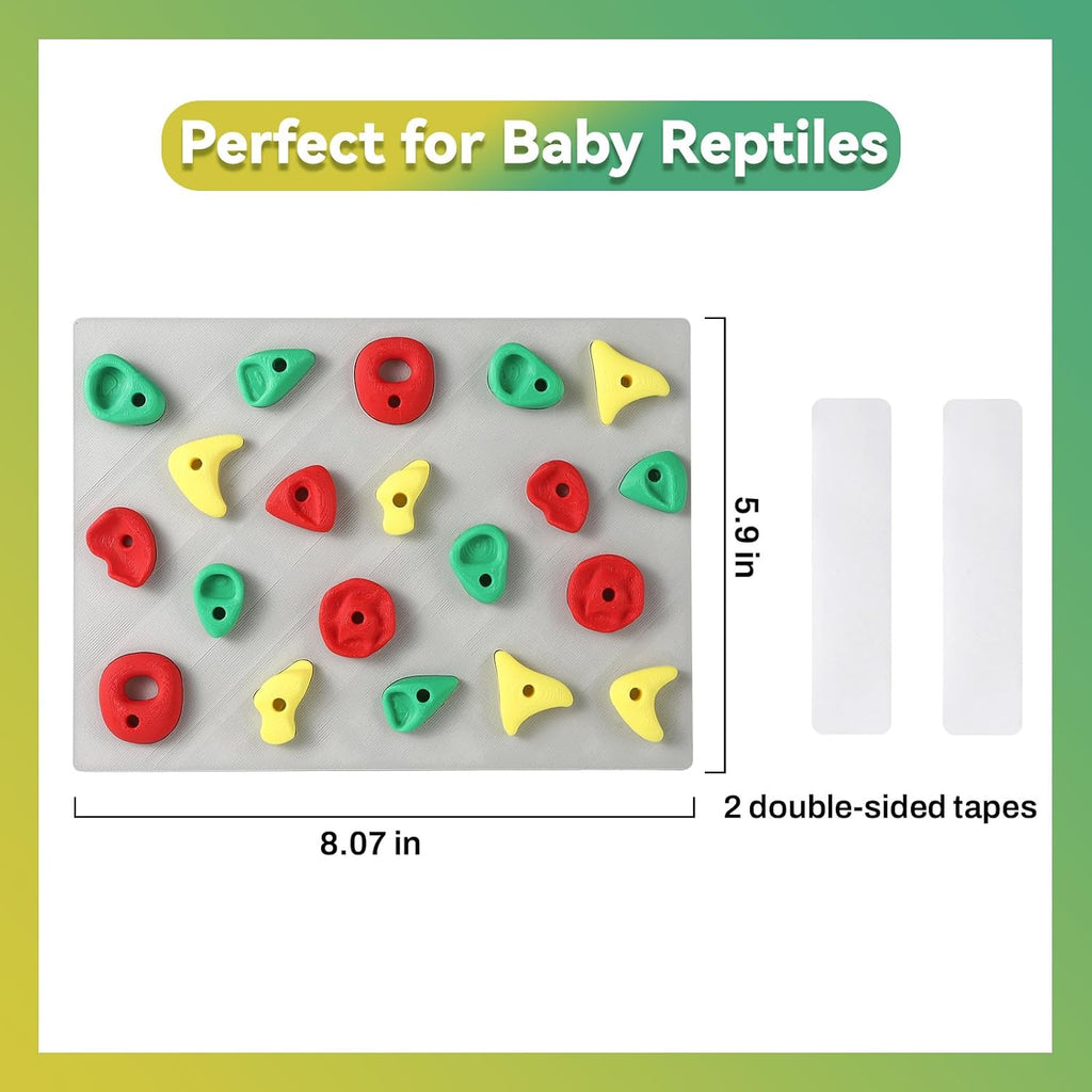 MITCHENIFY Reptile Climbing Wall, Bearded Dragon Accessories Toys