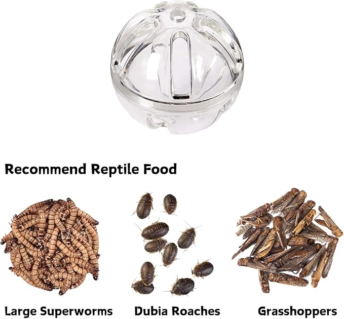 Bearded Dragon Feeder Toy Reptile Foraging Ball Lizard Enrichment Interactive - Image 3