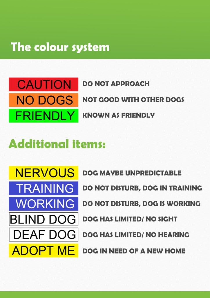Adopt ME Yellow Color Coded 2 4 6 Foot Padded Dog Leash (New Home Needed) Donate to Your Local Charity (4 Foot Leash)