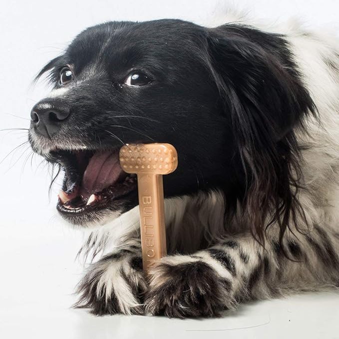 Bullibone Nylon Dog Chew Toy for Aggressive Chewers - Image 9