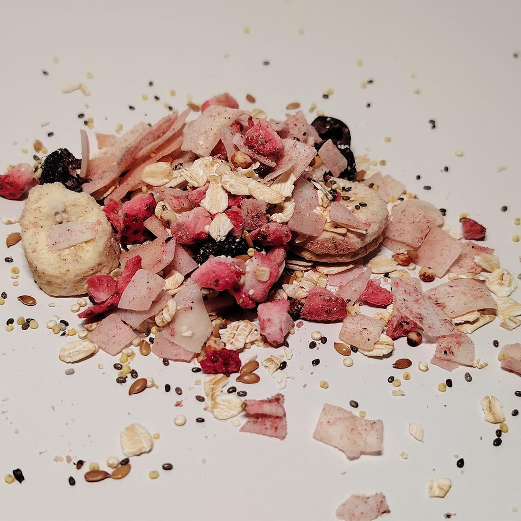 Hermit Crab Food, Fruity Breakfast Fruit & Grain Mix, 6 oz