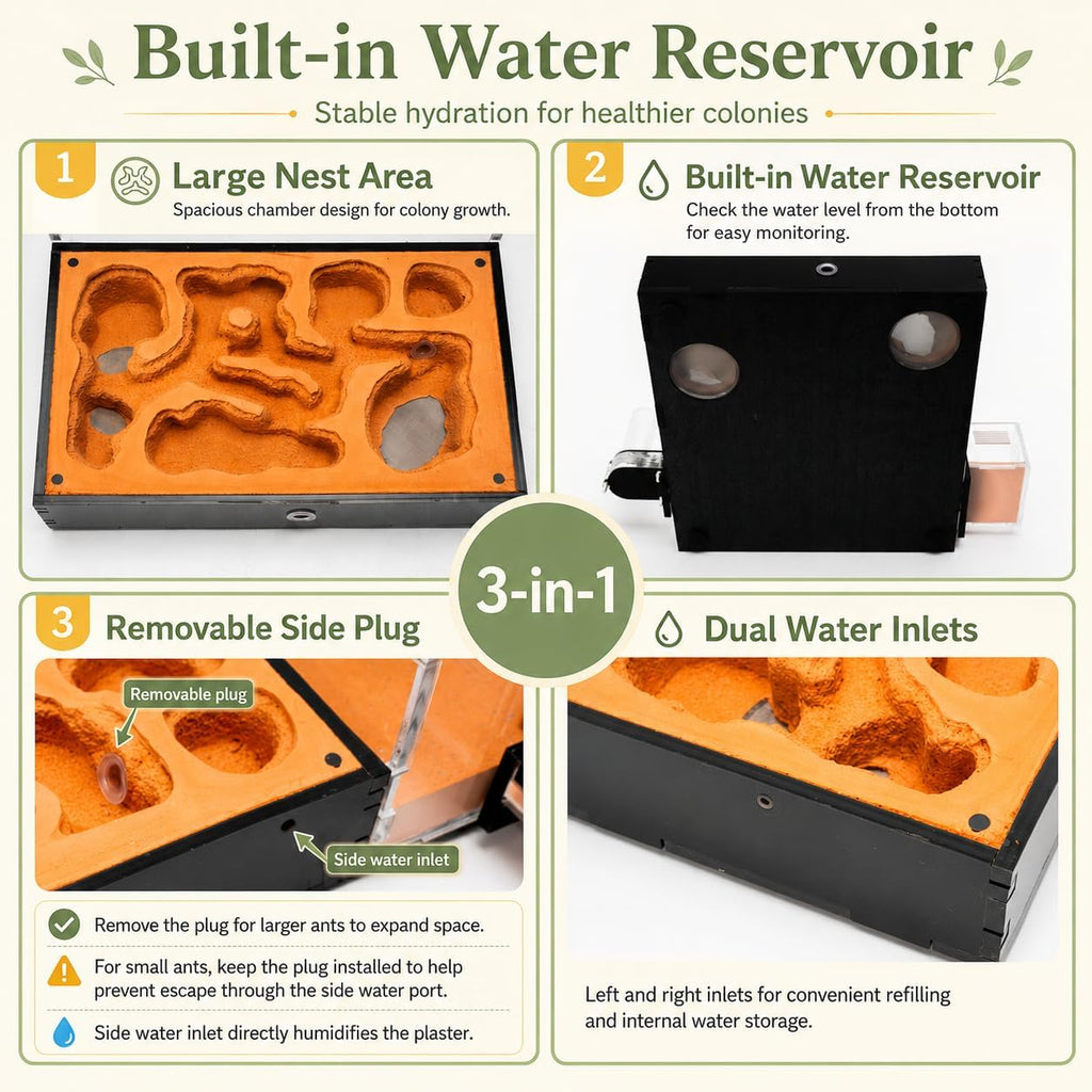 Terra Core M Ant Nest with Starter Kit 9 x 8 x 4.33 in