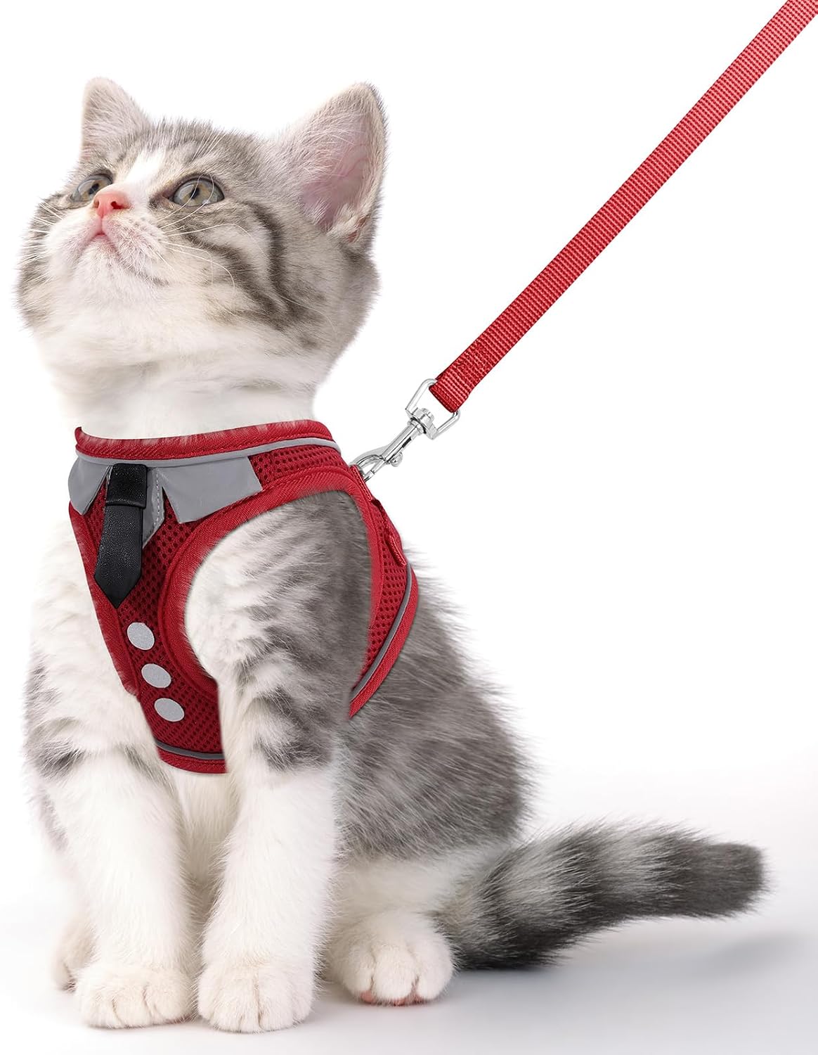 Cat Harness and Leash Set for Walking Escape Proof Vest for Kitten