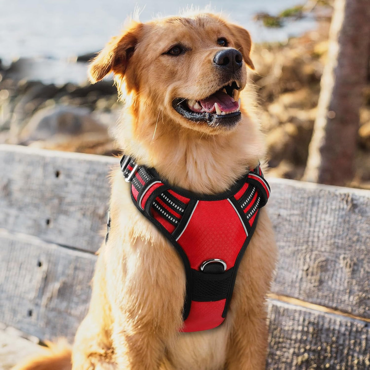 rabbitgoo Dog Harness for Large, No Pull 3 Buckles Easy On & Off