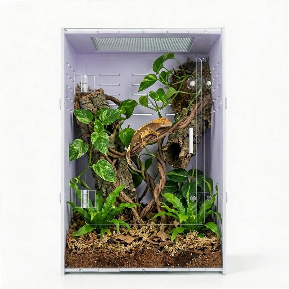 12x12x18 Clear Acrylic Reptile Enclosure, Front Opening, 360° View Tank