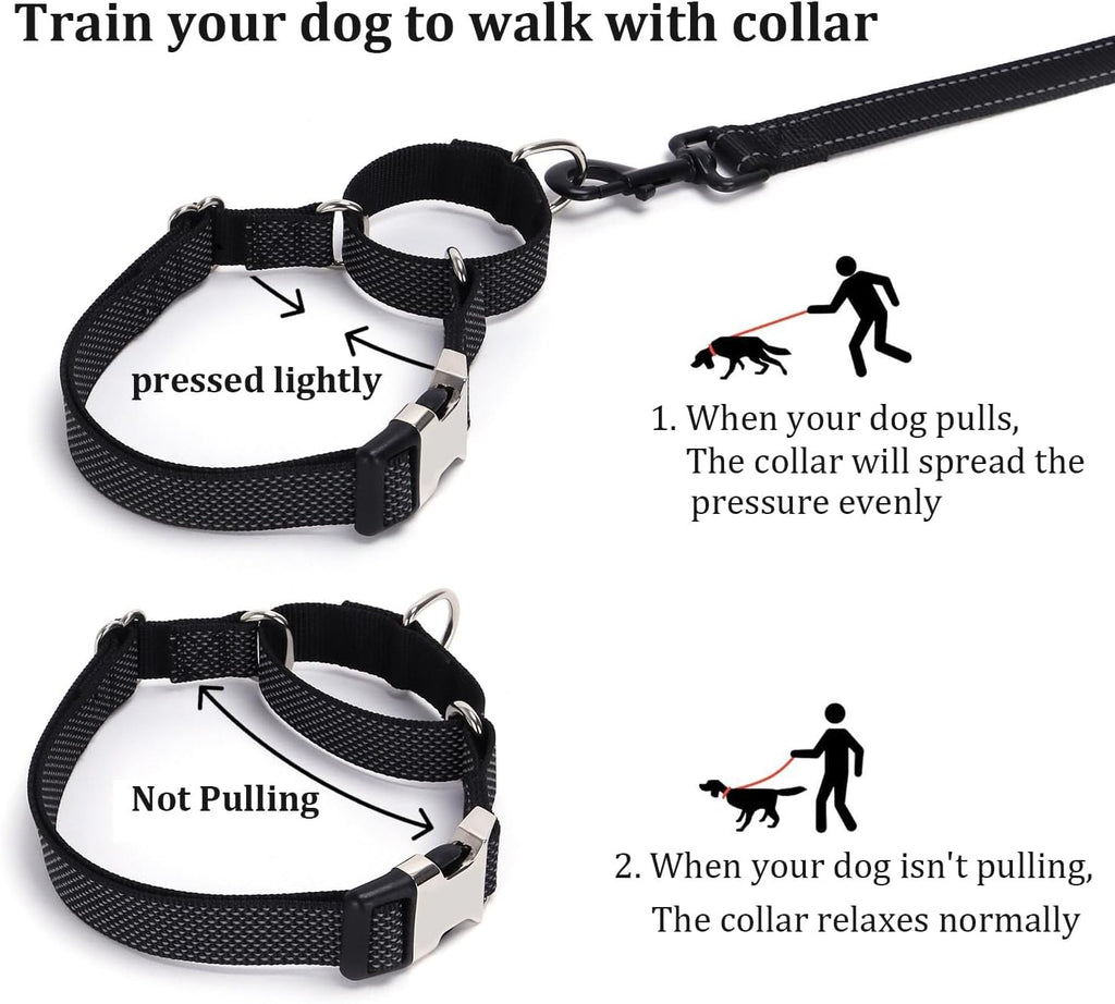 Reflective Martingale Dog Collar with Quick-Snap Metal Buckle