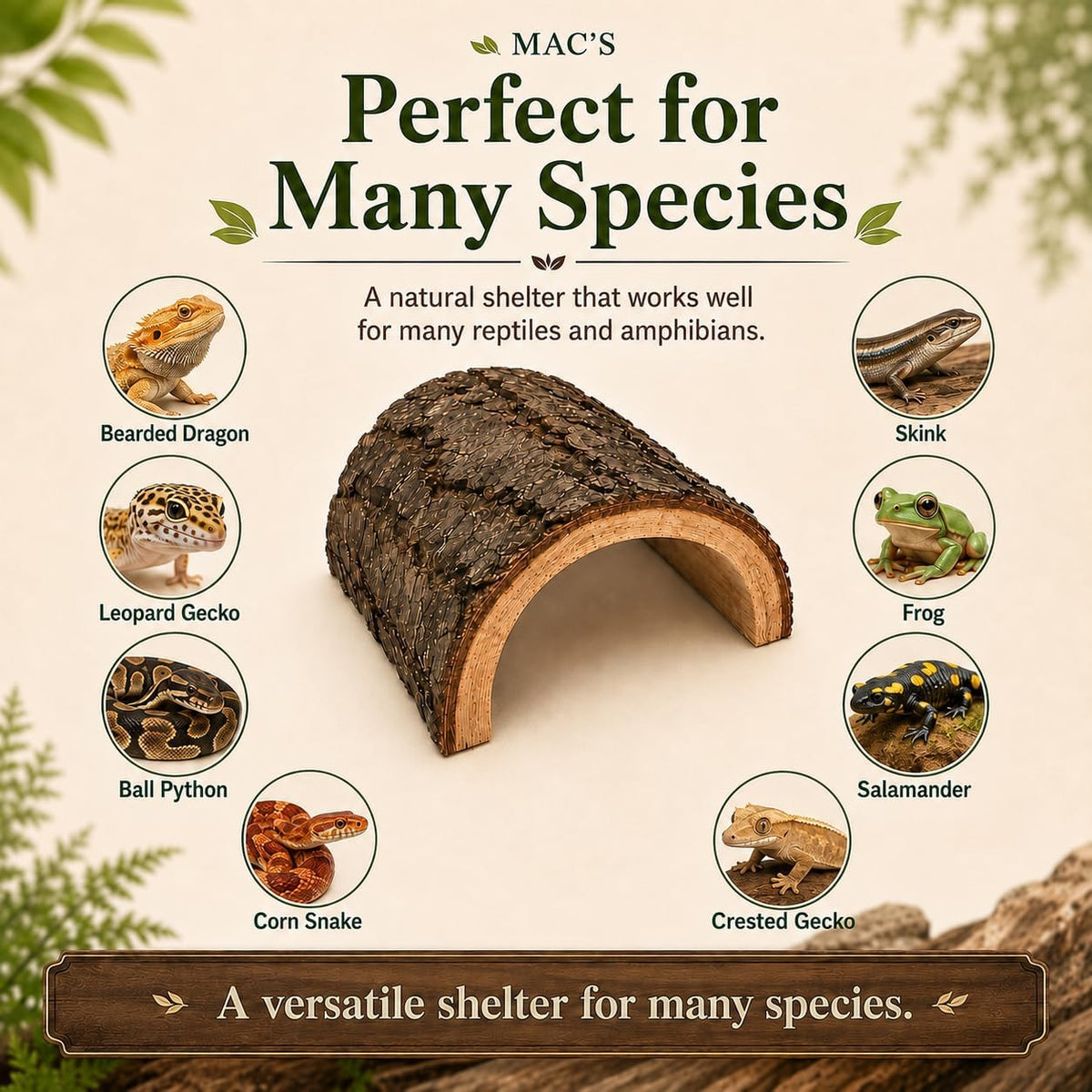 MAC'S Reptile Hideout Half Log, Extra Large - Natural Wooden Hide for Reptiles, Amphibians & Small Animals - Made in USA - Natural Terrarium Shelter for Snakes, Lizards, Geckos, Frogs & More