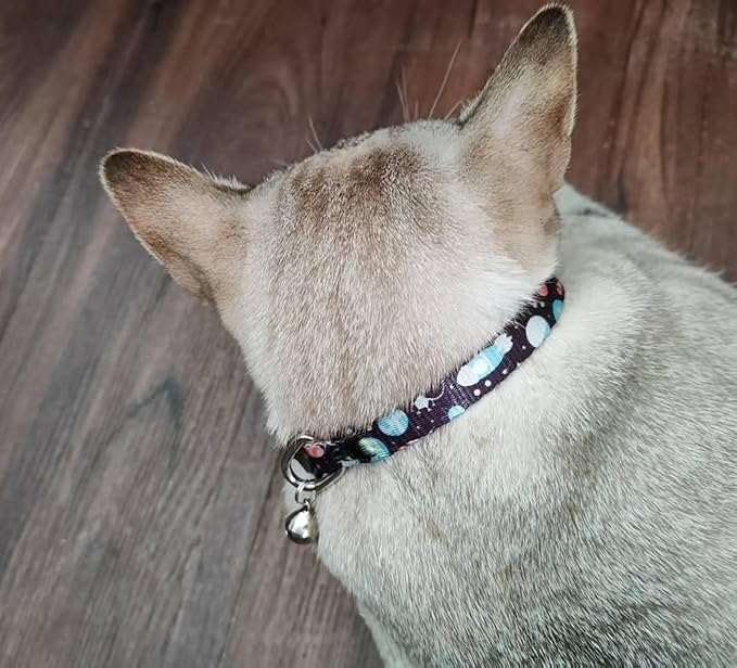 Cat Collar, 2 Pack Breakaway Collar - Image 7