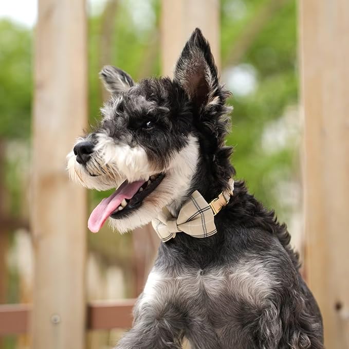 Beirui Cute Extra Small Dog Harness Collar and Leash Set - Image 5