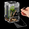 Jumping Spider Enclosure, Acrylic Terrarium for Small Reptiles, 4x4x8 Inch