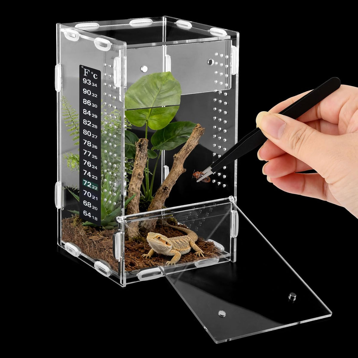 Jumping Spider Enclosure, Acrylic Terrarium for Small Reptiles, 4x4x8 Inch