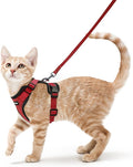 rabbitgoo Cat Harness and Leash by rabbitgoo