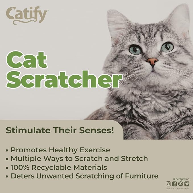 Best Pet Supplies Catify Cat Scratcher, Fun Interactive Scratchers, Claw Safe - Image 3