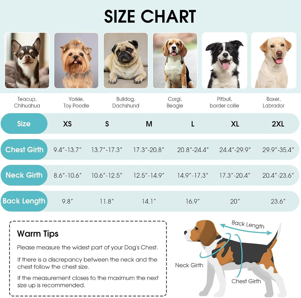 Queenmore Dog Winter Coat, Cold Weather Dog Jackets for Samll Dogs