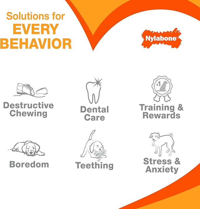 Nylabone Original Bone Power Chew Toy - Image 9