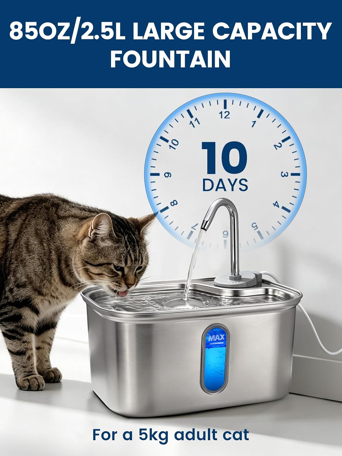 Cat Water Fountain Stainless Steel for Cats Indoor 2.5L 85oz by BPA-Free SUS304, Effective 6-Layer Filter Cat Fountain for Drinking 15dB Ultra Quiet Metal Pet Water Fountain (Fountain+1 Filter)