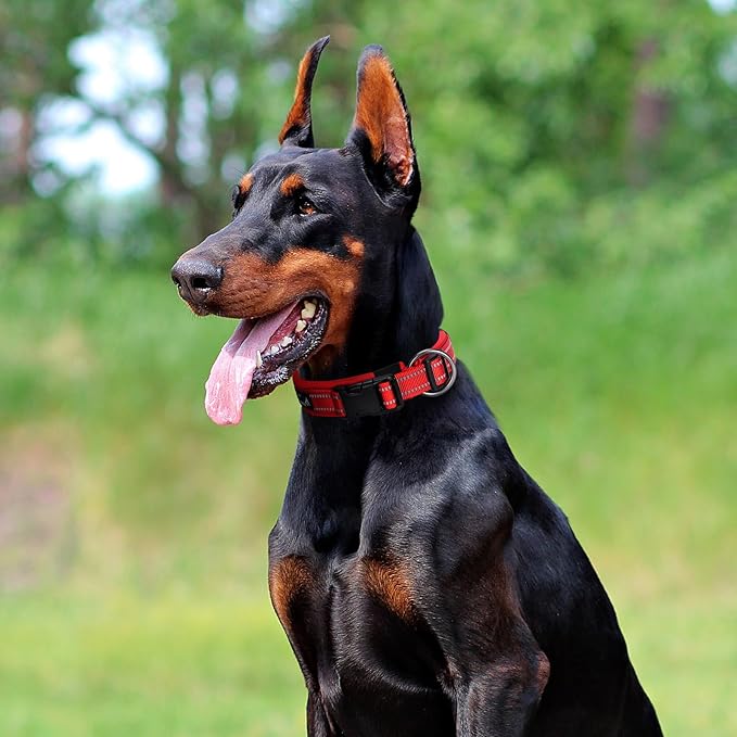 EXCELLENT ELITE SPANKER Reflective Dog Collar Classic Soft Padded Breathable - Image 8
