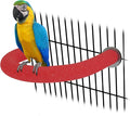 Rypet U Shape Parrot Perch Stand Toy by RYPET