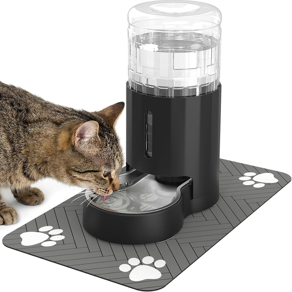 JUNSPOW Cat Water Dispenser and Stainless Steel Bowl