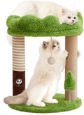 WOOCHPET 21" Small Cat Tree  with 2 Scratching Posts and Perch Bed