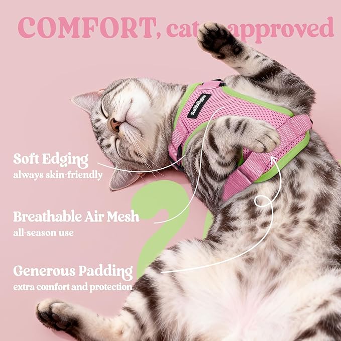 rabbitgoo Cat Harness and Leash - Image 4