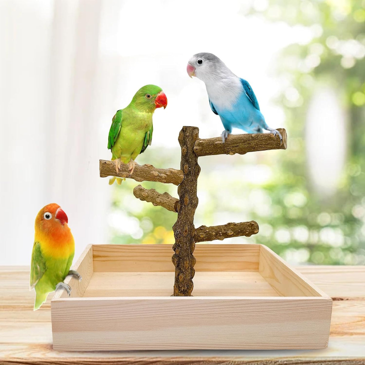 Natural Wood Bird Perch Stand Playground Parrot Toys Bird Cage Accessories