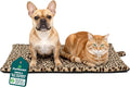 Furhaven ThermaNAP Self-Warming Cat Bed by FurHaven