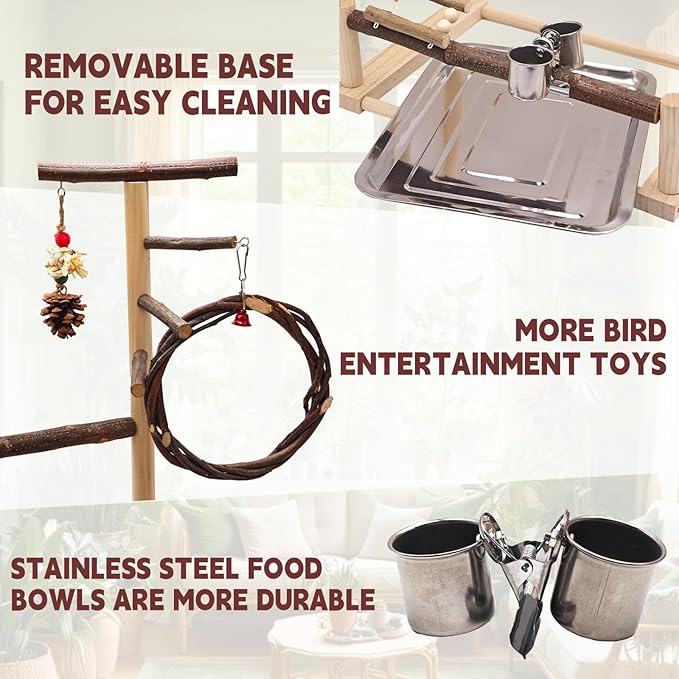 ‌Bird Playground, Natural Wooden Parrot Stand - Image 4