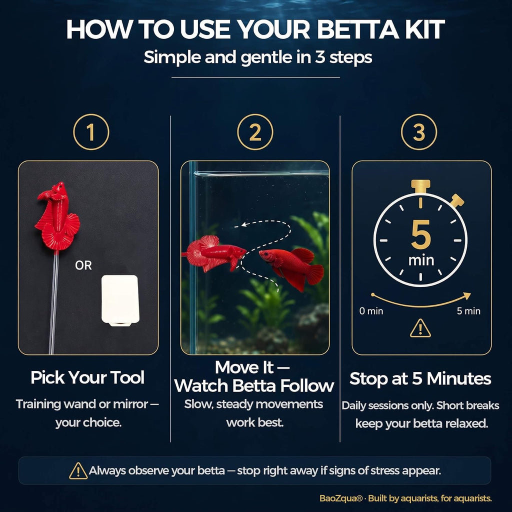 Betta Exercise Kit, Betta Fish Toys, 2 Training Wands and Mirror