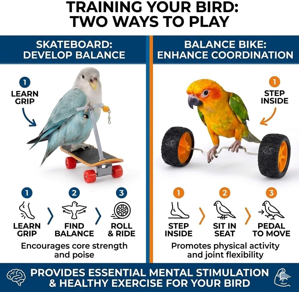 Bird Training Toys Set, 2 Piece Skateboard and Balance Bike for Parrots, Balance Training Accessories (Orange Wheel Core)